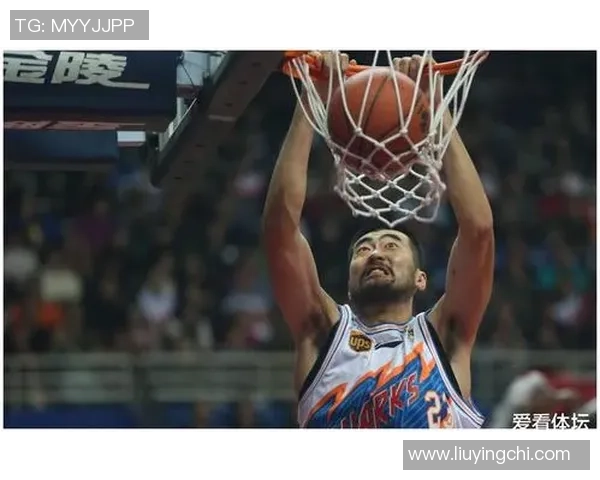 张兆旭:从篮球场上的巨人到人生舞台的奋斗者 张兆旭:从篮球场上的巨人到人生舞台的奋斗者