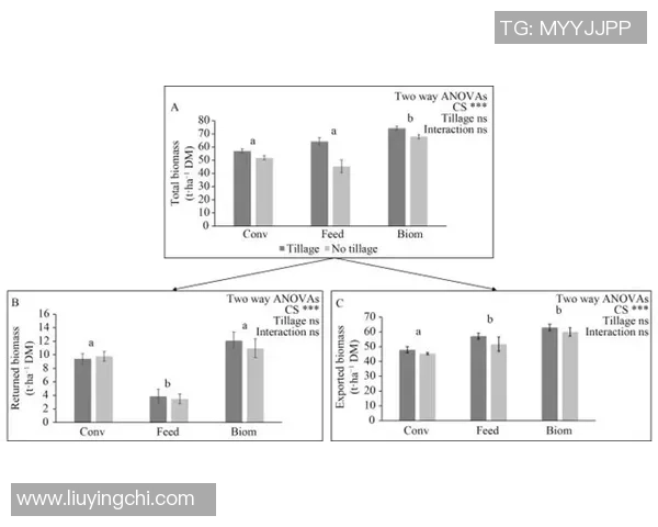 阿斯塔与尤马拉对决分析及双方近期状态评估