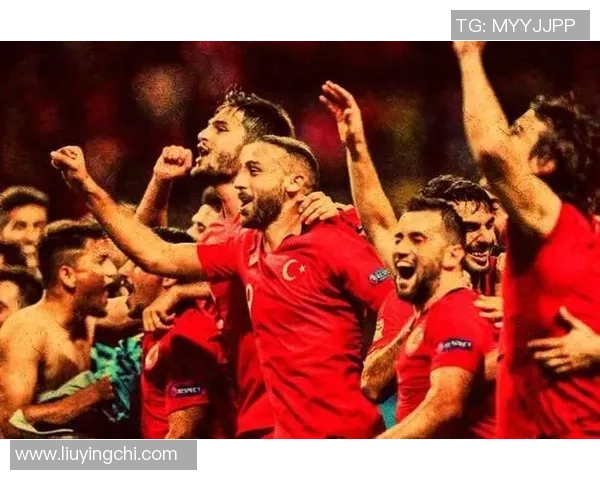 马耳他与瑞典比赛结果分析及精彩瞬间回顾